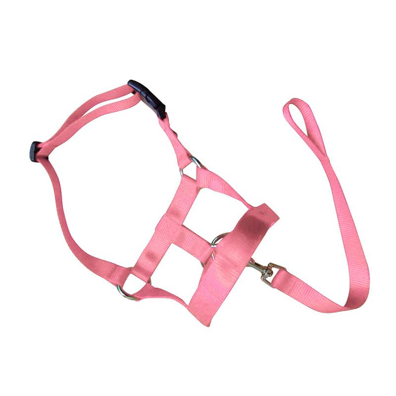 Dog Training Head Collar Halter Stop Pulling Training Tool Harness