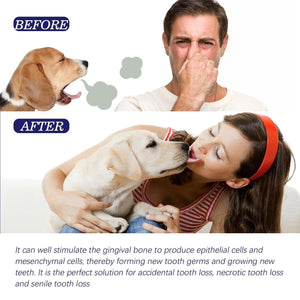 Enzyme-Based Pet Toothpaste for Fresh Breath & Healthy Gums