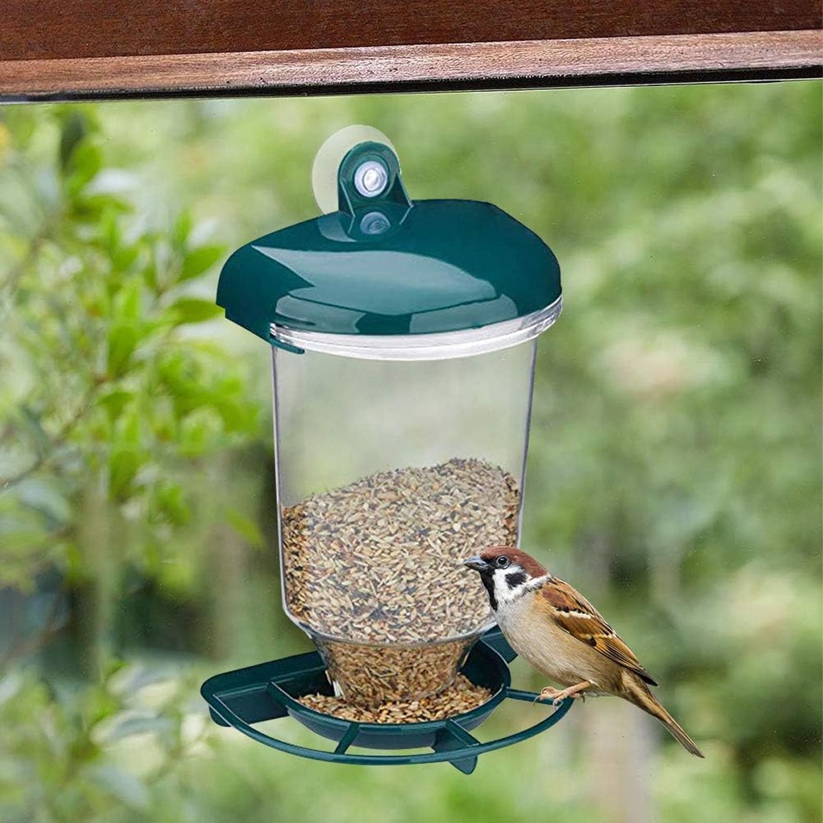 Clear Plastic Automatic Bird Feeder Suspended Suction Cup