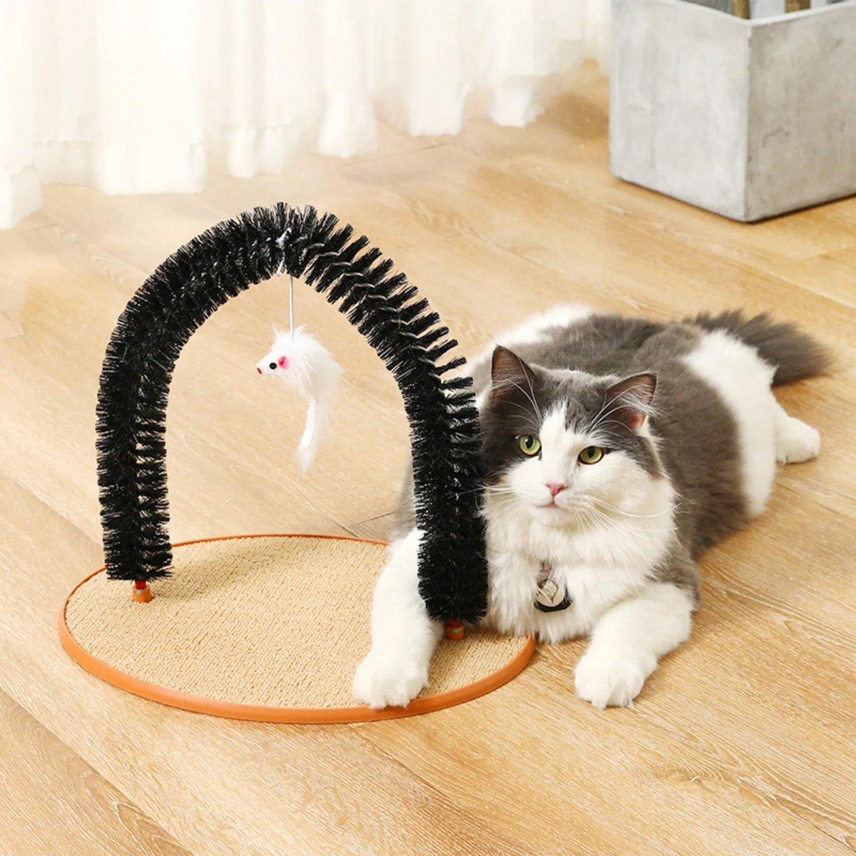 Arch Cat Scrub Brush Pet Grooming Toy Self Groomer Tickle Device for Cats