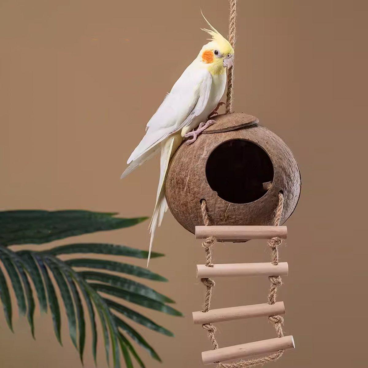 Pet Parrot Nest Wooden Bird House Natural Coconut Shell Feeder