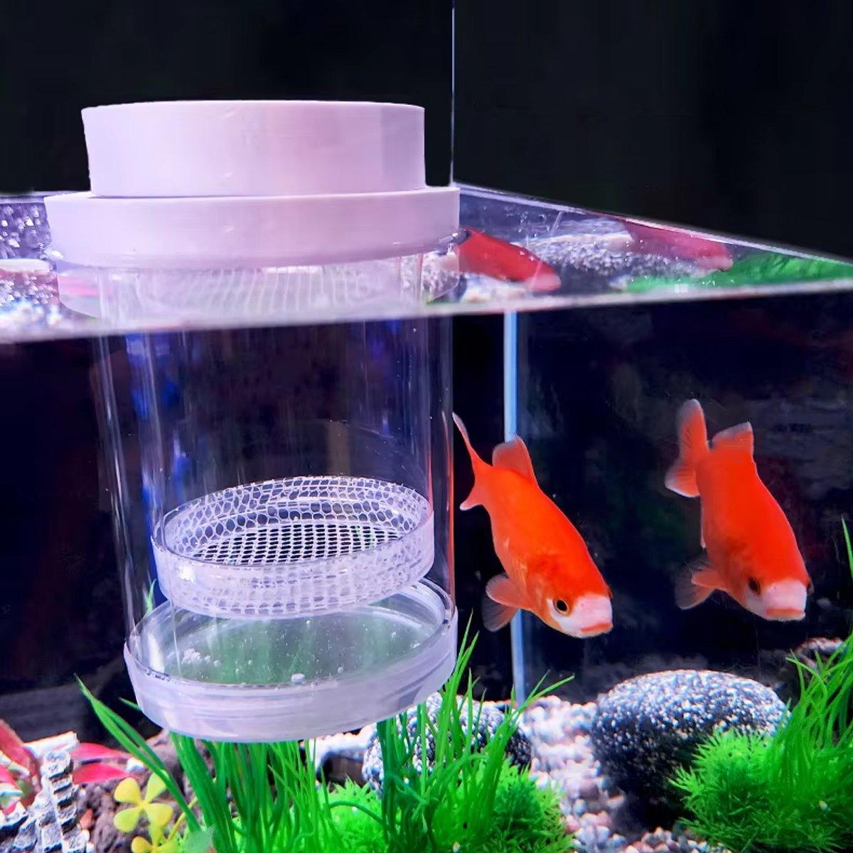 Floating Fluval Fish Breeding Box Safe Isolation for Fry and Mother Fish