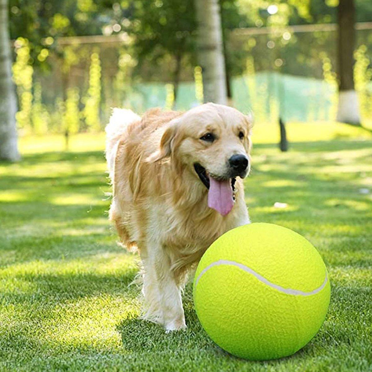 Dog Toy Tennis Ball Safe & Durable Fetch Ball for Small Dogs