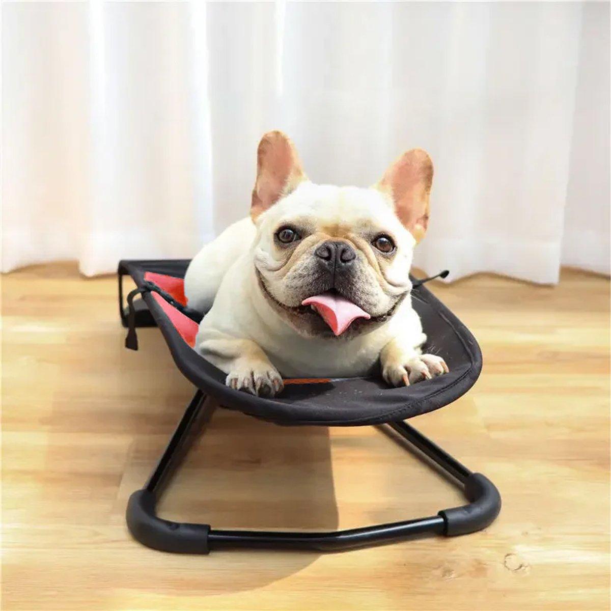 Foldable Pet Rocking Chair Portable & Comfortable Relaxation Seat for Dogs & Cats