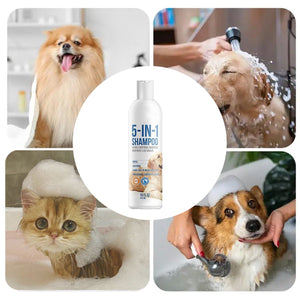 Lavender Scent Pet Shampoo for Cats and Dogs