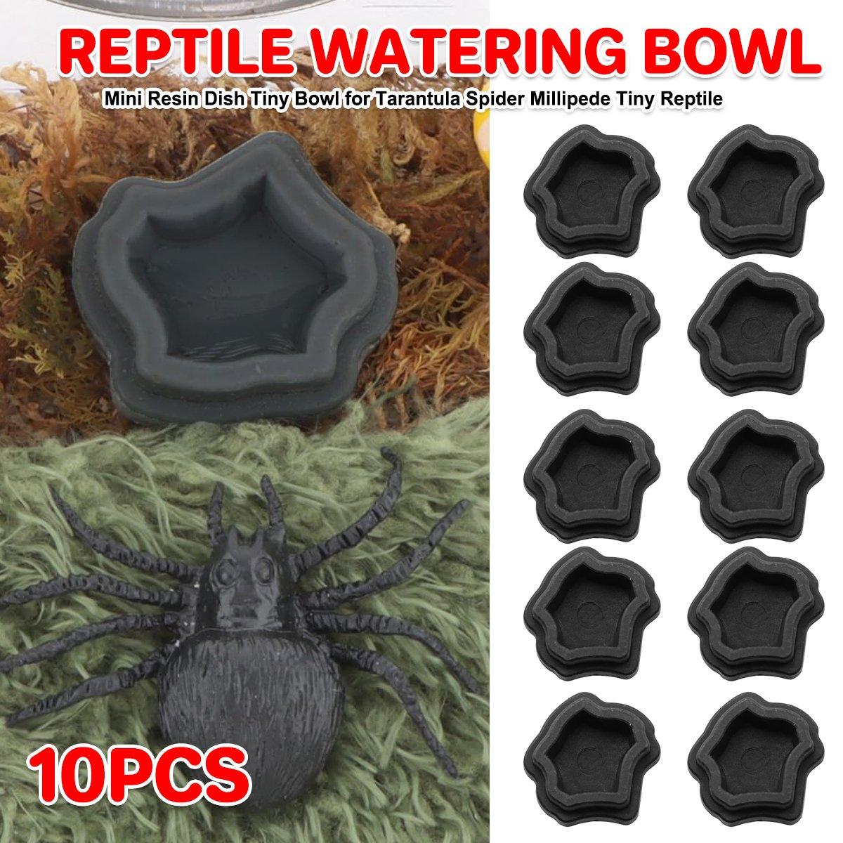 10pcs Reptile Spider Water Basin Resin Bowls Small Pet Feeder Reptile Water Sink