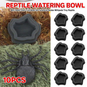 10pcs Reptile Spider Water Basin Resin Bowls Small Pet Feeder Reptile Water Sink