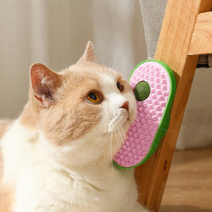 Cat Scratching Toy with Catnip