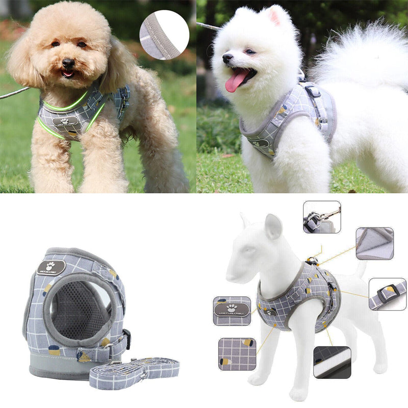 Adjustable Mesh Pet Vest Harness & Leash - Cat Dog Kitten Walk Collar