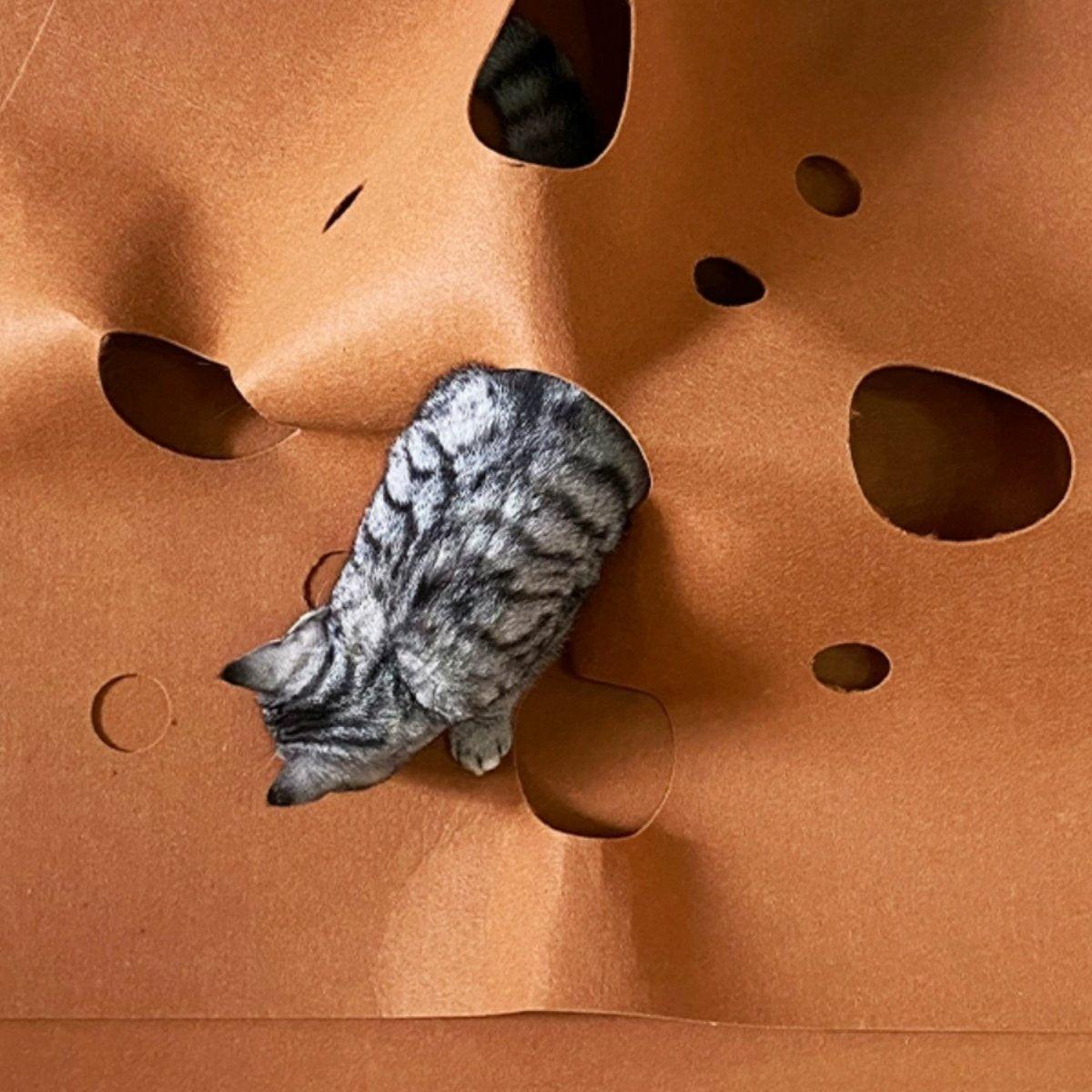 Puppy Semi-enclosed Tunnel Bite Cat Scratch Board Pad Cat Tunnel Interactive Cat Toy