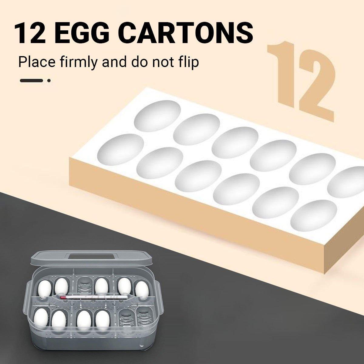 Reptile Pet Egg Incubator for Hatching High Quality Home Use Reptile Care