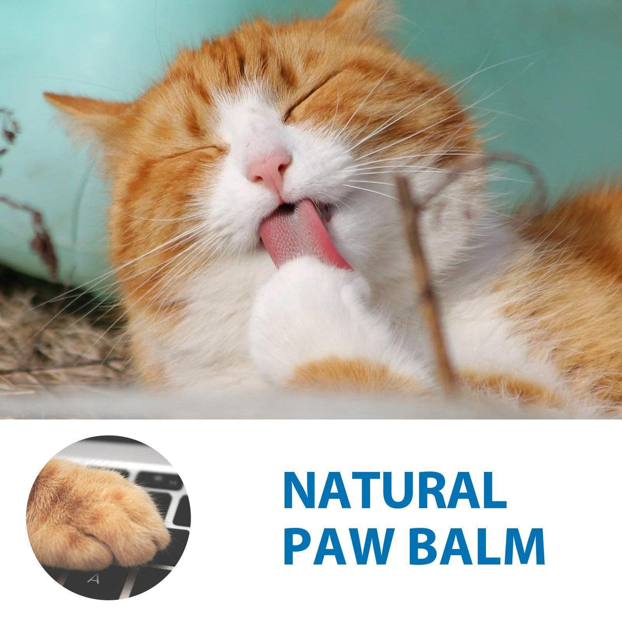 Cat Paw Moisturizing Stick Moisturizing Repair Anti-dry Cracking Protection