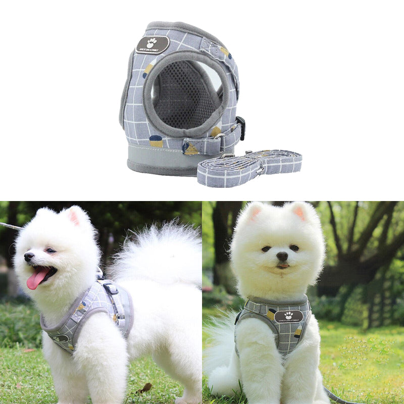 Adjustable Mesh Pet Vest Harness & Leash - Cat Dog Kitten Walk Collar