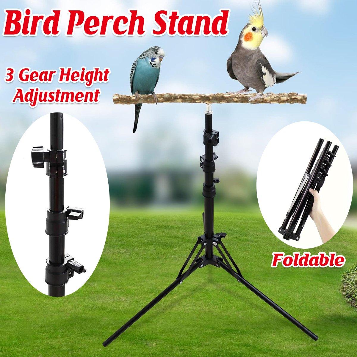 Adjustable Bird Perch Stand Foldable Training & Play Stand for Parrots & Birds