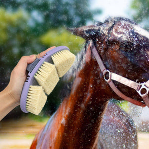 Oval Bendable Horse Grooming Brush for Cleaning Shedding Massage Care Supplies