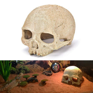 Artificial Head Bone Aquarium Ornament Bald Bald 4 Types