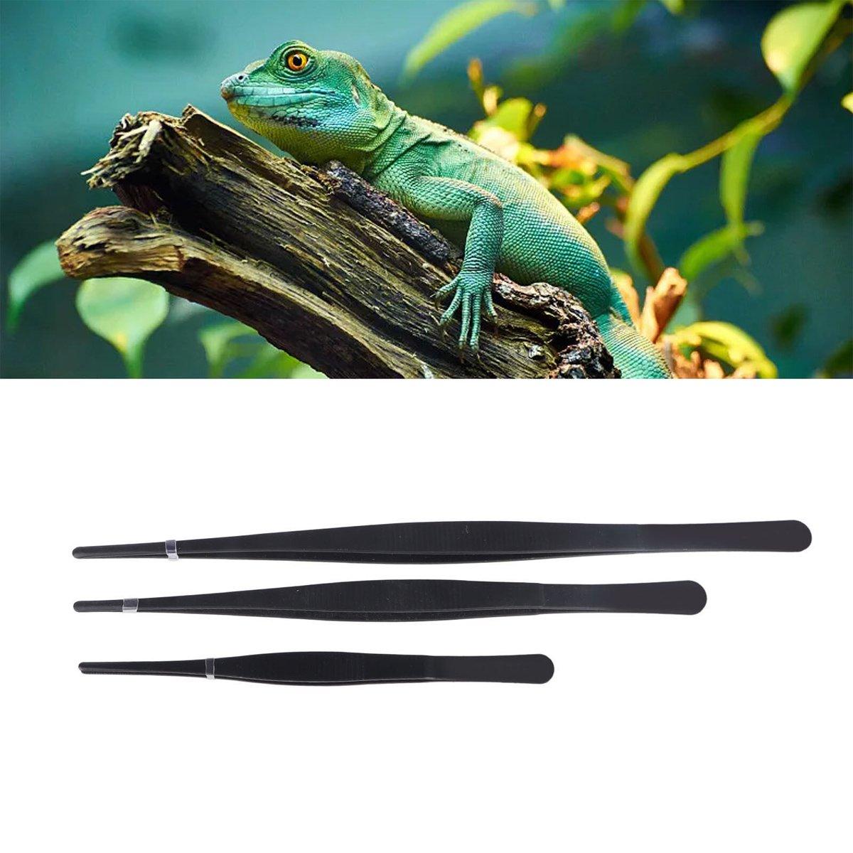 Pet Feeding Tweezers Set