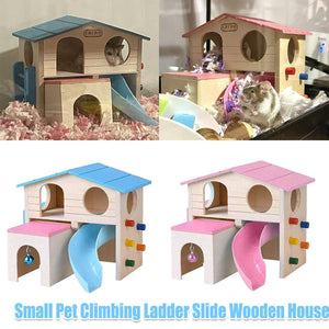 Hamster house with slide and ladder