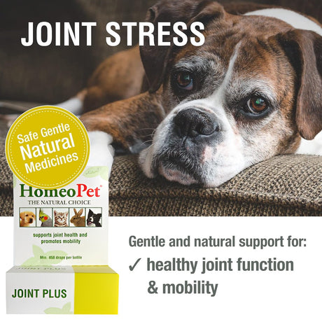 HomeoPet Joint Stress 15ml