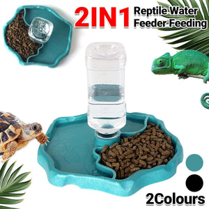 2-in-1 Reptile Feeder & Water Bowl – Dual-Purpose for Small Pets