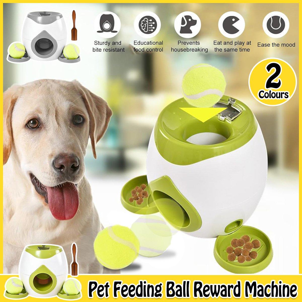 Automatic Ball Roll Out Launcher Interactive Dog Toy