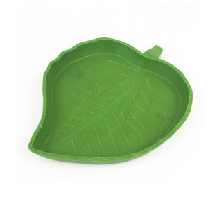 Reptile Feeding Dish Reptile Water Bowl