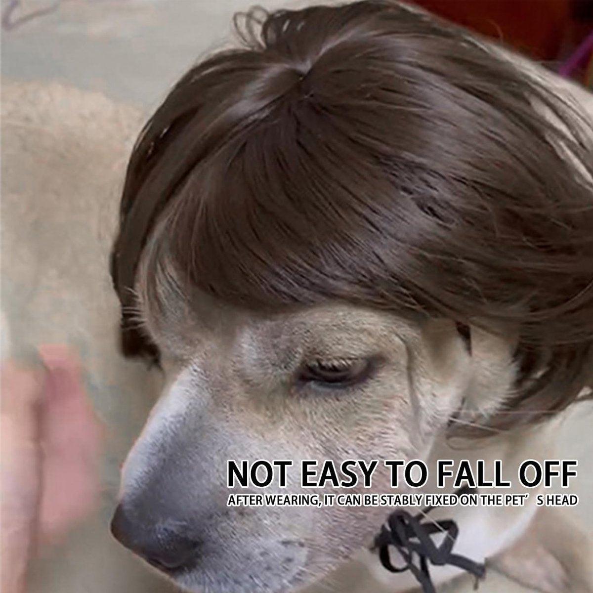 Stylish  Funny Pet Wig With Bangs Fun and Comfortable