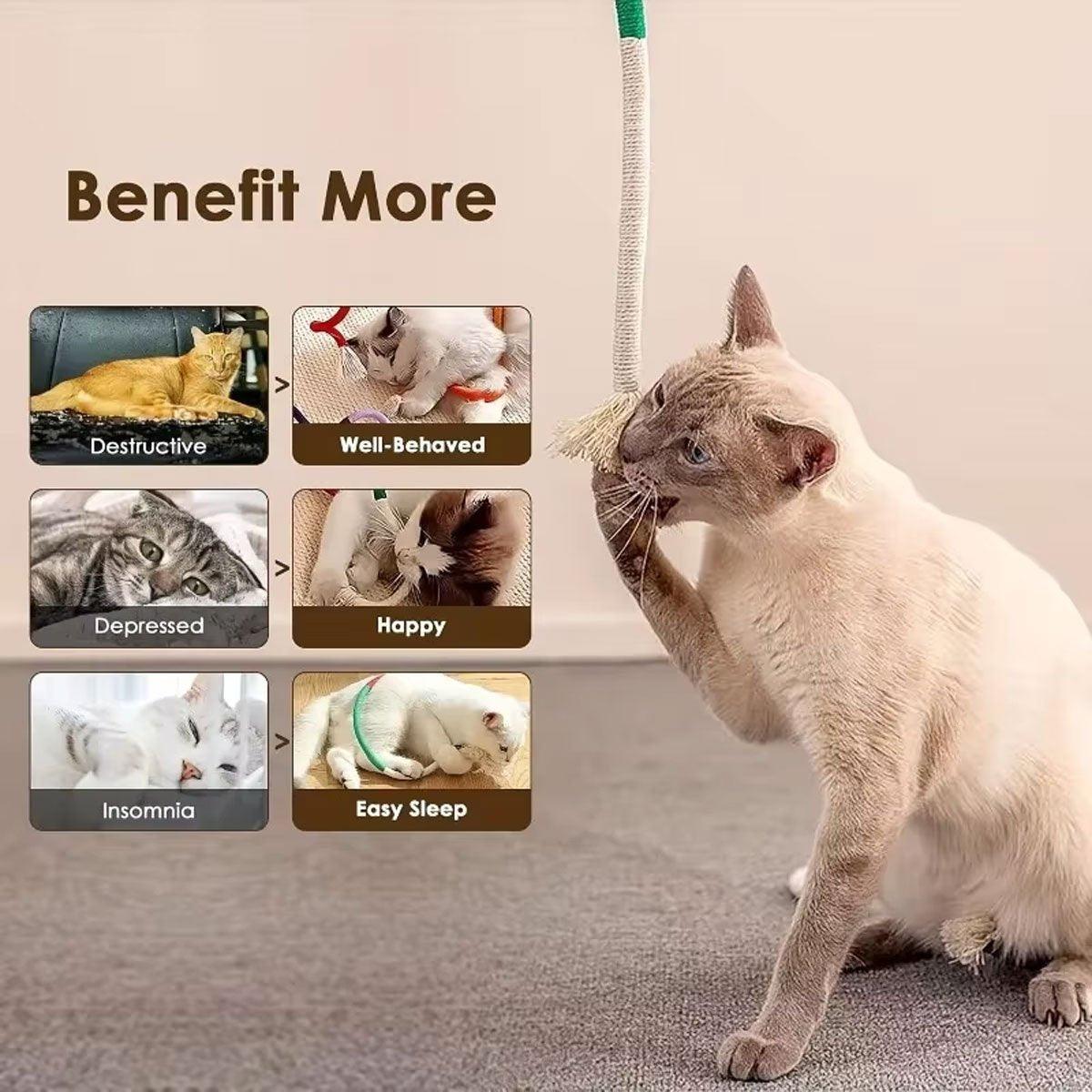 Cat Toy Creative Fun Teeth Molar Cleaning Cat Bite Rope