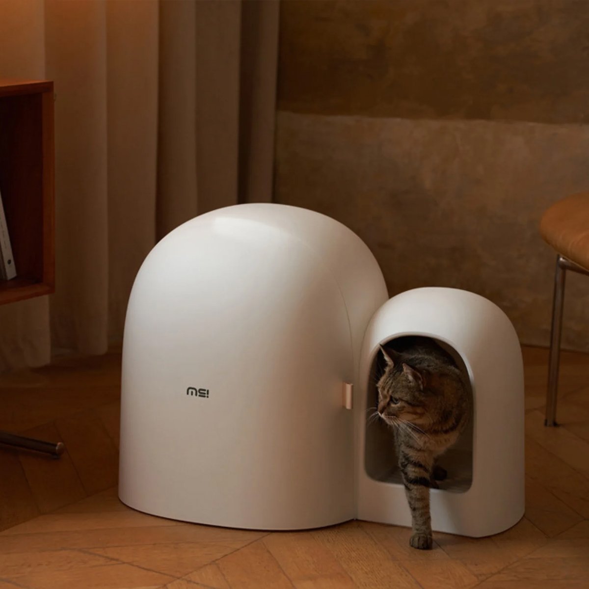 Kitty Litter Box Cat Litter Box MAX | Spacious & Eco-Friendly