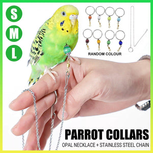 Adjustable Parrot Collar with Opal Necklace and Stainless Steel Chain