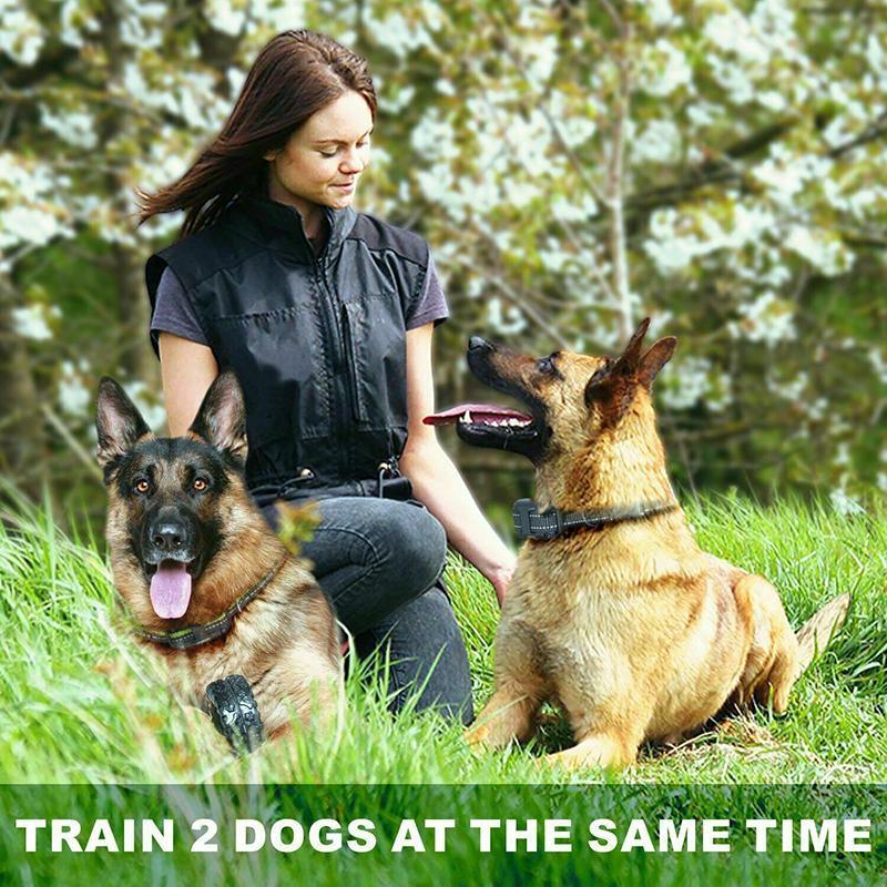 Electric Dog Pet Training E-Collar Obedience Rechargeable Remote Control 800M