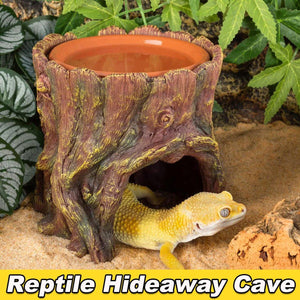 Reptile Hideaway Cave with Humidity Dish for Geckos & Small Reptiles