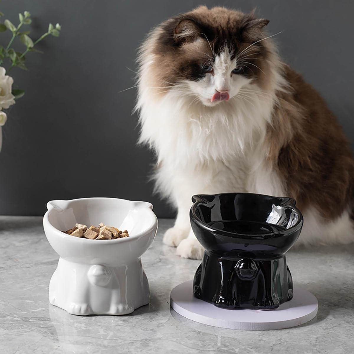 Tilted Ceramic Cat Bowl Ergonomic Design