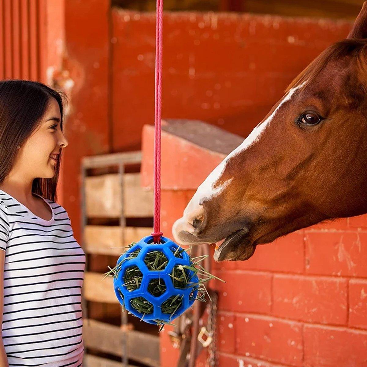 Hanging Hay Feeders Stable Feed Polo Feeding Balls Toy for Horses and Livestock