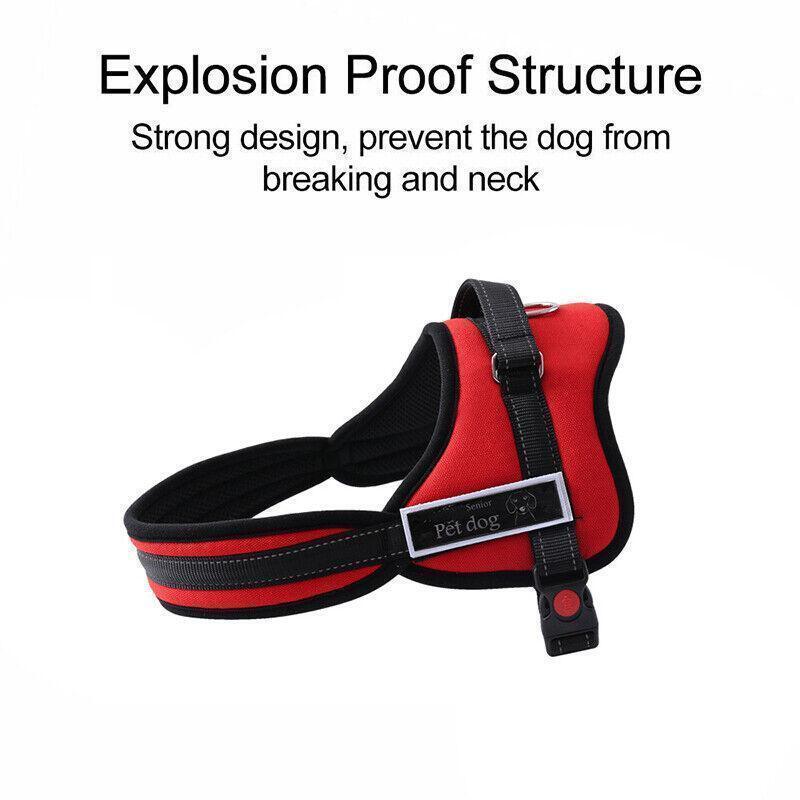 Adjustable Reflective Dog Harness for Safe and Comfortable Walks