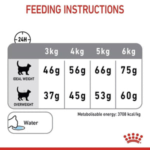 Royal Canin Dental Care Adult Dry Cat Food 400g/1.5kg/3.5kg