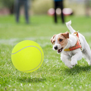 Dog Toy Tennis Ball Safe & Durable Fetch Ball for Small Dogs