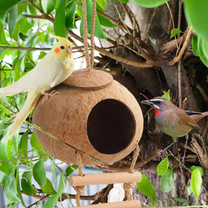 Pet Parrot Nest Wooden Bird House Natural Coconut Shell Feeder