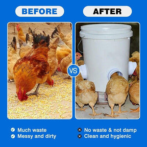 Easy-to-Assemble Weatherproof Chicken Feeder with Gravity-Feed Mechanism