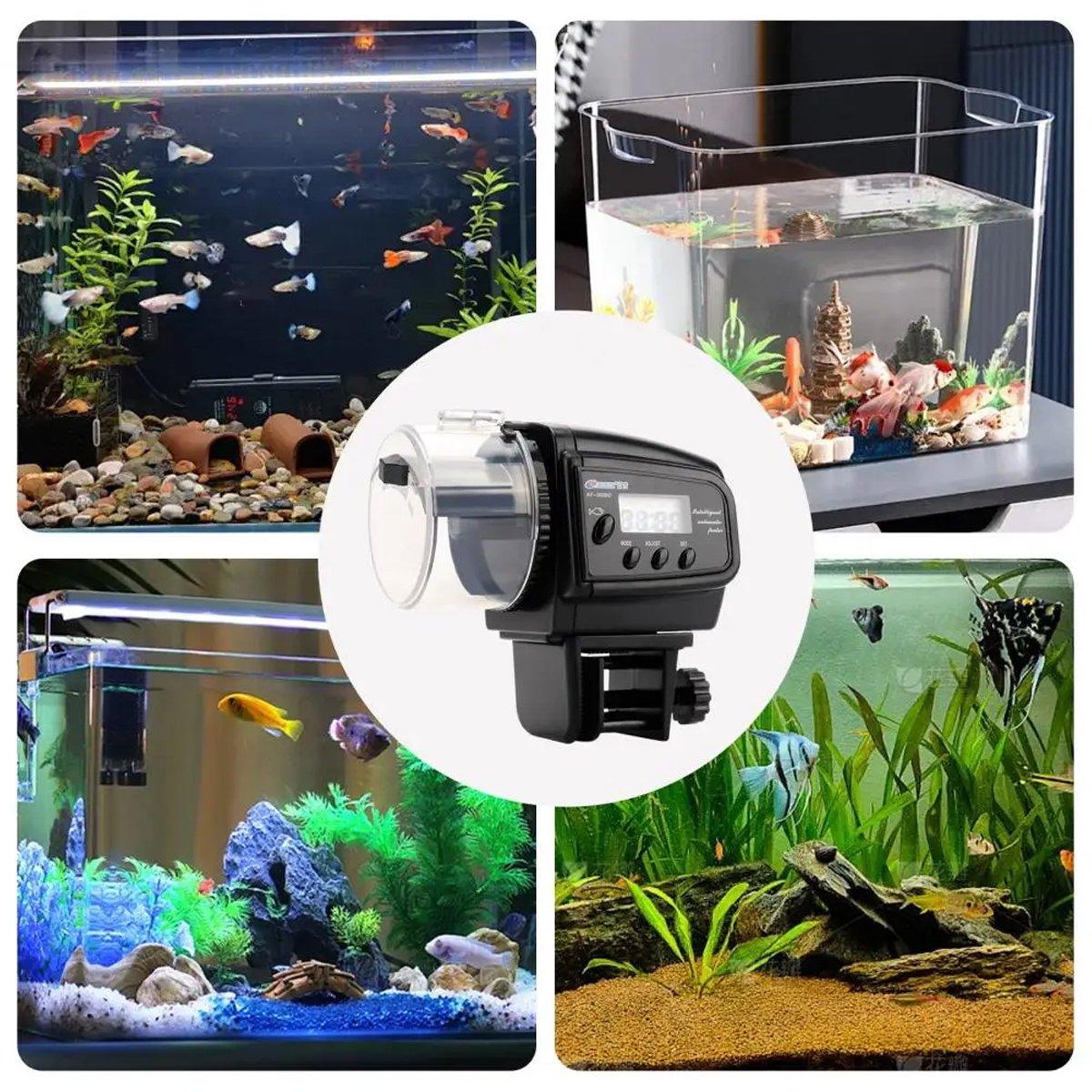 Reliable Automatic Fish Feeder for Convenient Aquarium Care