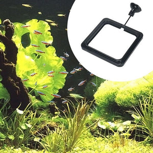 Fish Feeding Ring Aquarium Fish Tank Feeder Floating Fish Food Feeder