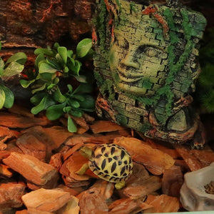 Natural Reptile Bedding Substrate