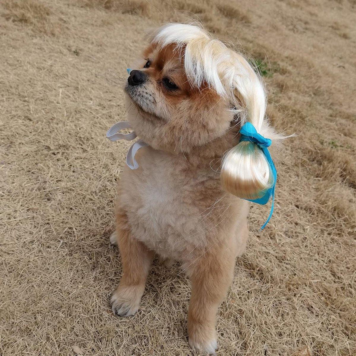 Stylish  Funny Pet Wig With Bangs Fun and Comfortable