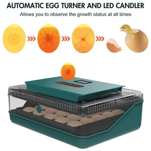 Reliable Fully Automatic Chicken Incubator