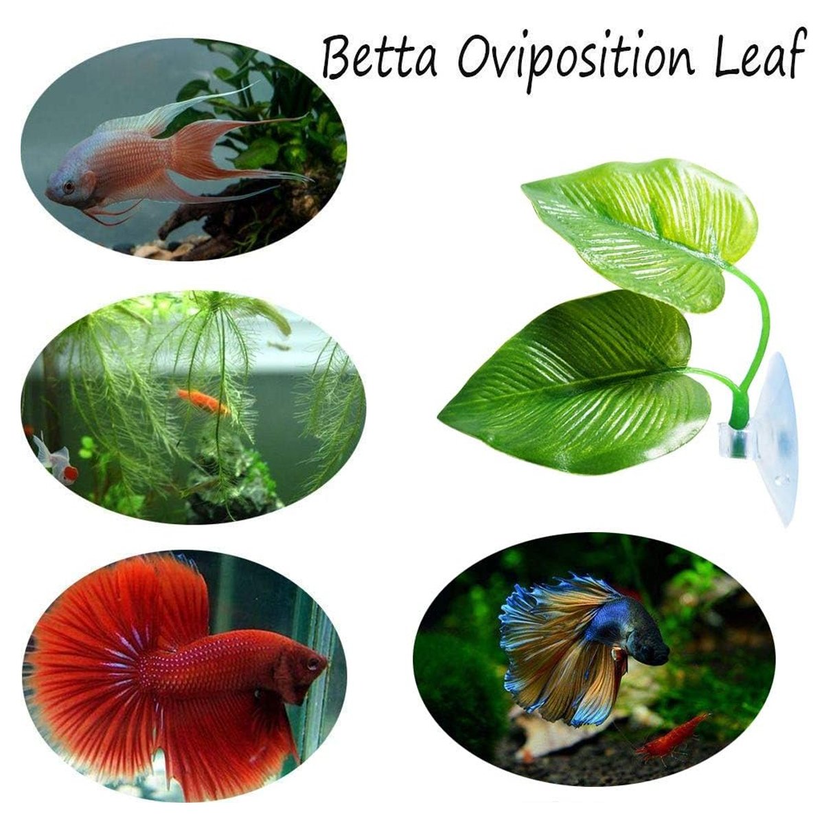 4pcs Artificial Betta Fish Leaves - Aquarium Decoration