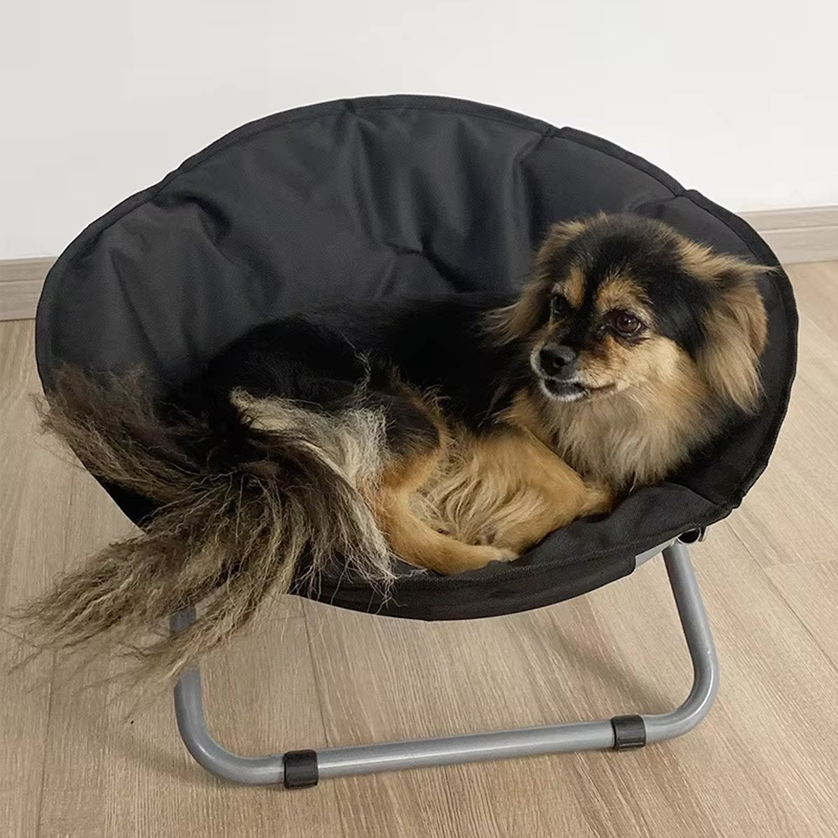 Foldable Pet Bed Portable Round Elevated Little Dog Bed Pet Moon Bed