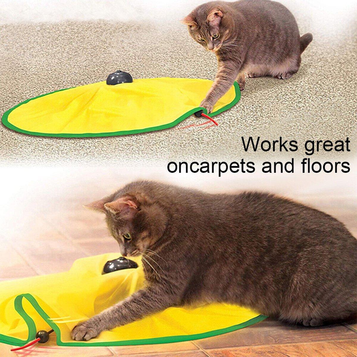 Interactive Cat Toy with Moving Mouse for Engaging Play