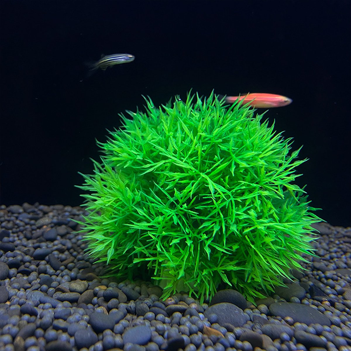 Aquarium Fish Tank Landscaping Decoration Plastic Simulation Water Grass Flower Ball