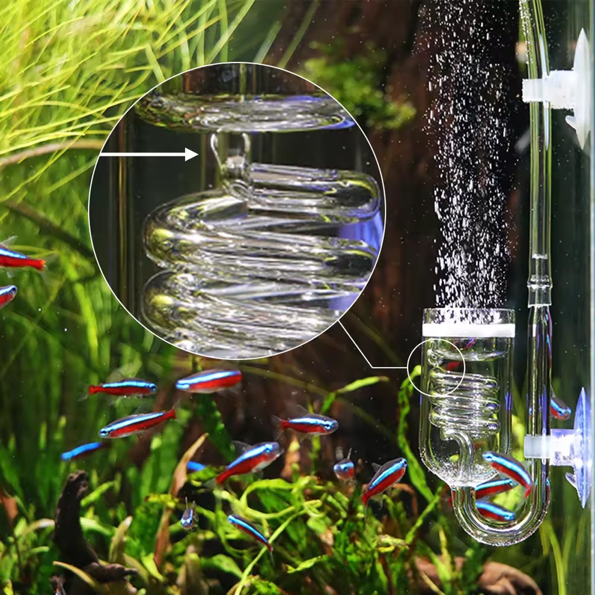 Aquarium Diffuser Glass Spiral Atomizer CO2 Reactor for Planted Tanks