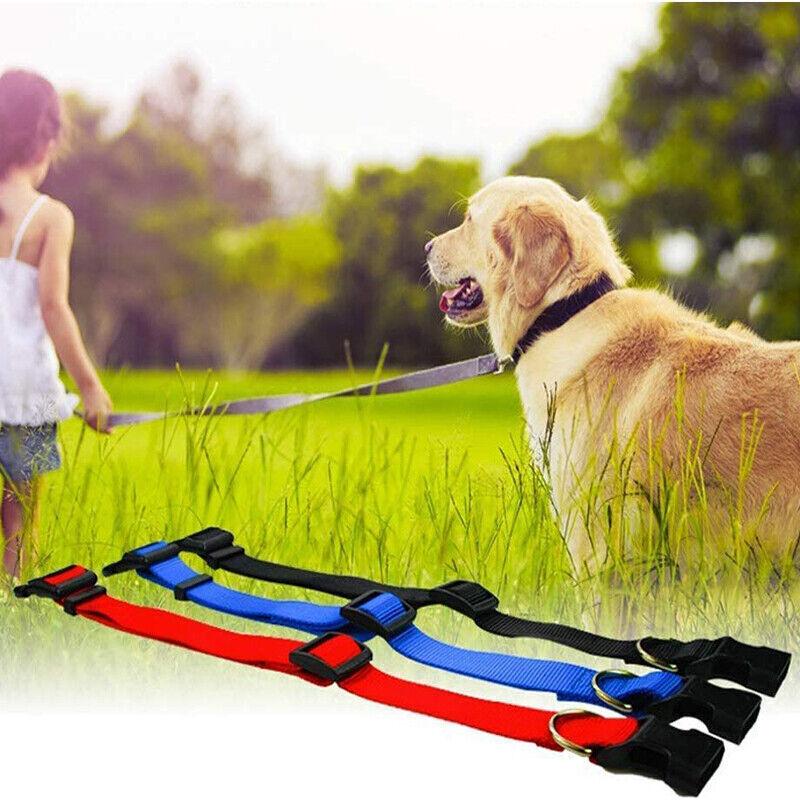 Nylon Pet Dog Collars Adjustable Safety Comfort Lightweight Fit Puppy Durable